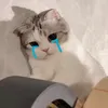 khoacutevcll