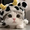 smile11573