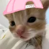 huukhahuhu
