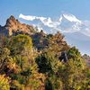 paudel433