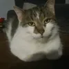 mnvcxzxcvnmnvcxzxcvnm