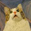 amarluvcats