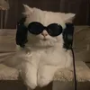 stevenciezarl