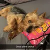 jake.mca