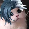 sannin.ml
