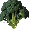broccoli._.vegetable