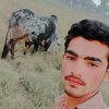 m.maliksohail786