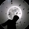user572129525