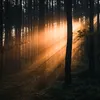 enrowr