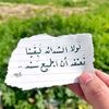 dy6a1vonlbfe
