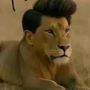 lllllllllllliiiiiiiiiiji