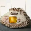 hedgehog_zov