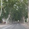msoria06