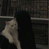 zitona._01