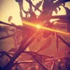 fake_zewax