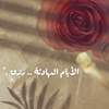 sooma_moh8