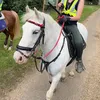 isla.j.c.eq