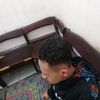 deniprawito3