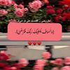 mymemories805
