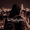 misilman_221