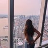 aves_favs2