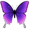 ladiebutterfly_07