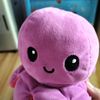 octopusocty23
