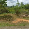 estrella_sol987
