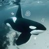 dan_67spam