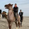 hafaz88