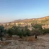 chaim_48