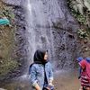 sari_ayupus