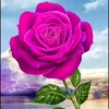 user29072098180167