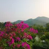 luongvuthanh