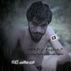 toor_313_