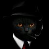 kucing.hitam.id