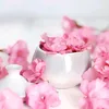 raniaalshaar930