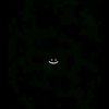 ayesha.nawaz001