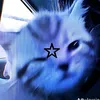 fobi_9