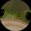 dyjmnogqw93o