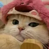 cheeselovezryuri
