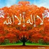 245thayk