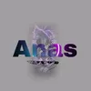 anas_editor