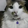 amandalucia533