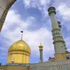 mohamedkamelfadhel