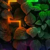 hi_65461