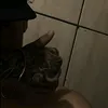 ryanffxg