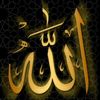 mohammad_drawsheh_