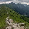 orzeszek.72