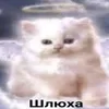 6845.183